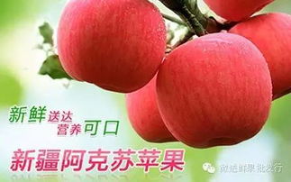 微送水果工廠店12家門店同慶盛典 每日供應(yīng)依舊秒光，水果為何至此搶購大戰(zhàn)？